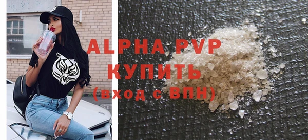 ПСИЛОЦИБИНОВЫЕ ГРИБЫ Корсаков