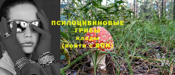 дурь Абинск