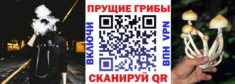 Псилоцибиновые грибы мицелий  Екатеринбург 
